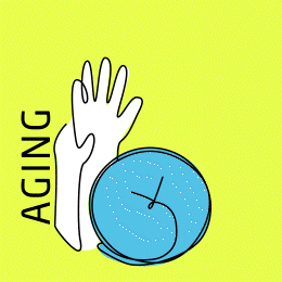 Aging